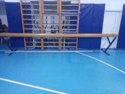 гим. бревно