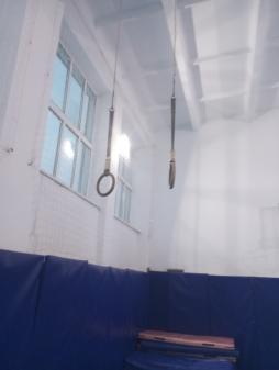 гимнастический кольца